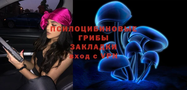 бошки Абинск