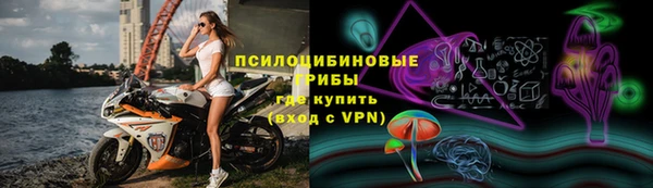 прущий лед Дмитров