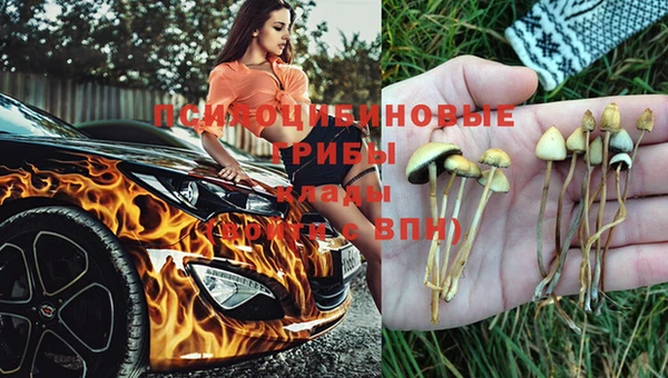 твердый Абаза