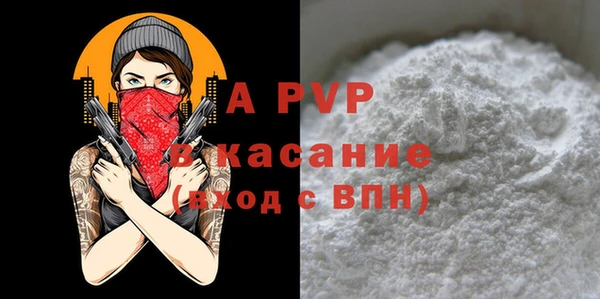 твердый Абаза