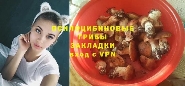 мяу мяу кристалл Переславль-Залесский