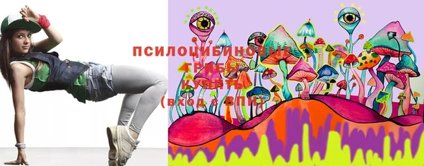 мяу мяу кристалл Переславль-Залесский
