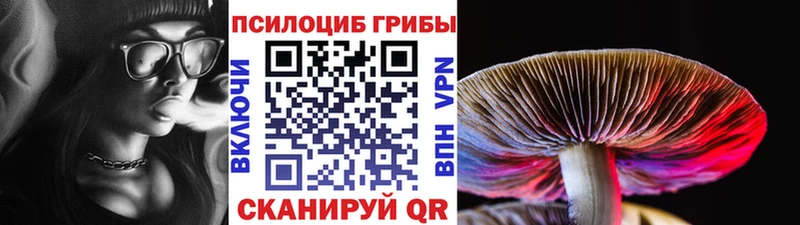 Псилоцибиновые грибы прущие грибы  Елизово 