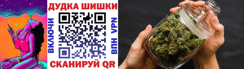 Конопля план Елизово